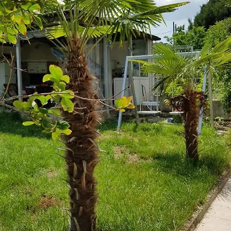 Summer House Village Zone Primorsko Primorsko